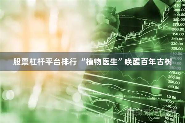 股票杠杆平台排行 “植物医生”唤醒百年古树