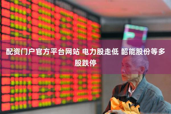 配资门户官方平台网站 电力股走低 韶能股份等多股跌停